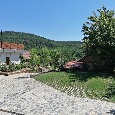 Szigligeti Mandula Kert Vendeghaz Apartment Екстериор снимка