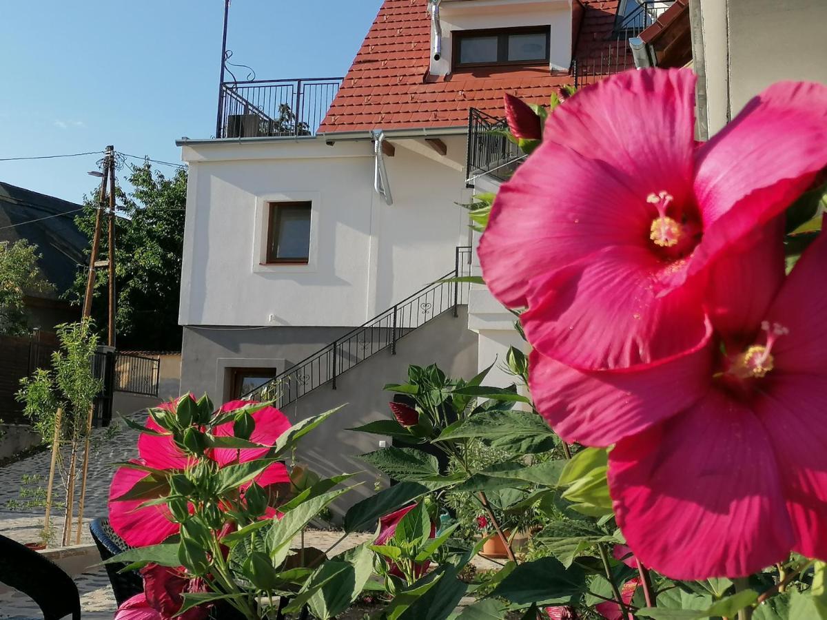 Szigligeti Mandula Kert Vendeghaz Apartment Екстериор снимка